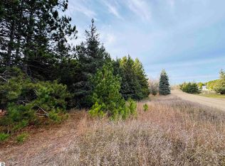 N 43 1/2 Rd, Manton, MI 49663