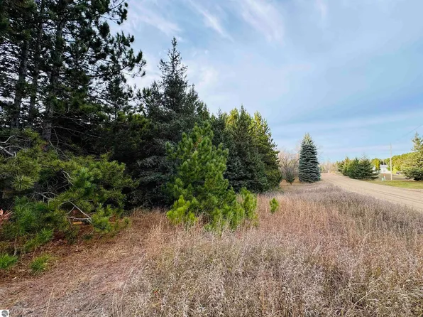 N 43 1/2 Rd, Manton, MI 49663