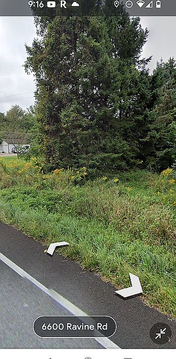 South Property Line