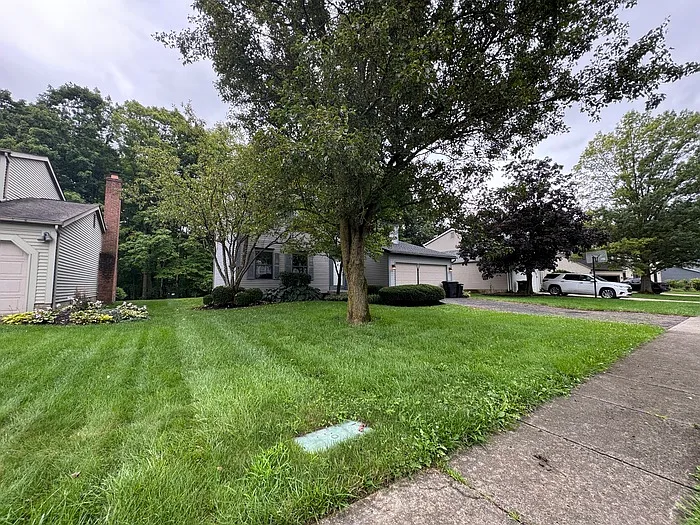 4 bed, 2.5 bath, 1764 sqft, $2,800 — Photo 3