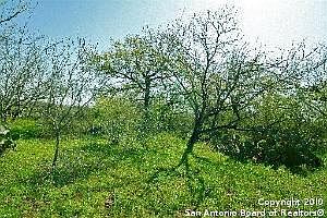 2nd image of 855 County Road 114