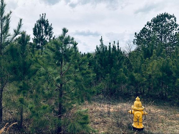 3rd image of 0 County Road 371