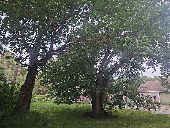 4th image of 391 Dixmont Rd