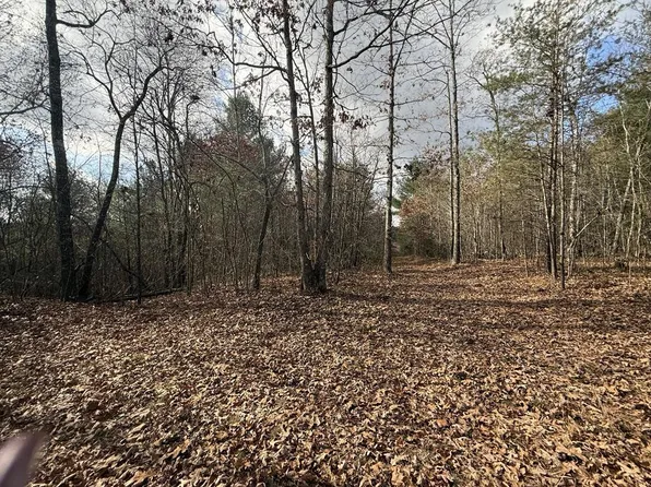 0 Valerie Dr, Deer Lodge, TN 37726
