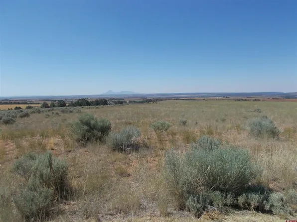 TBD Road 12, Dove Creek, CO 81324