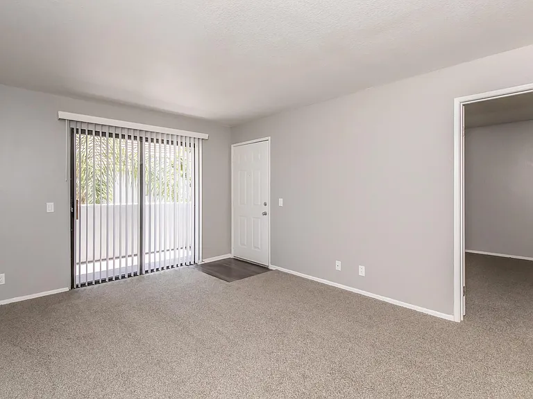 Palm Court Apartment Homes — Photo 45