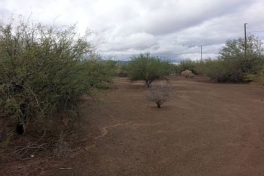 2nd image of 4155 W Saguaro Dr