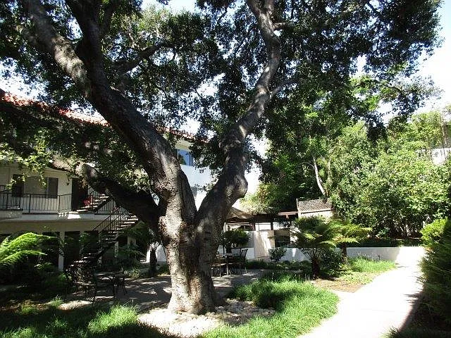 1701 Anacapa St #31 — Photo 6