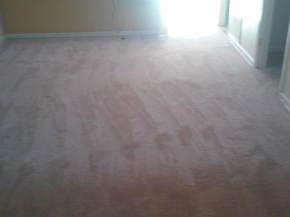 5th image of 4270 Brookside Dr
