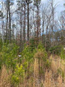 0 Poplar Valley Pl, Ashland, VA, 23005