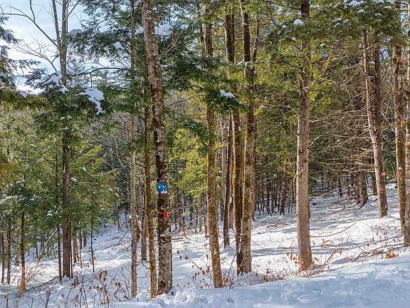 5th image of 0 Fay Lane #7226 and 7227