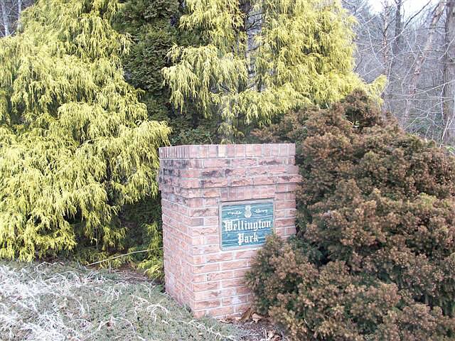 1st image of 9999 Wellington Ct