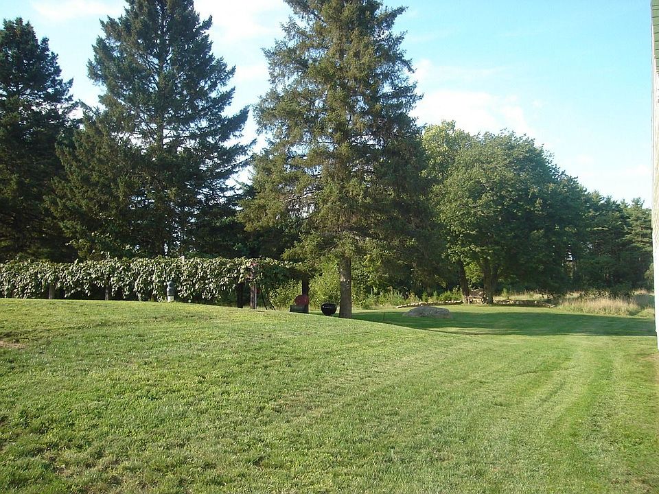 Back Yard with grapevine