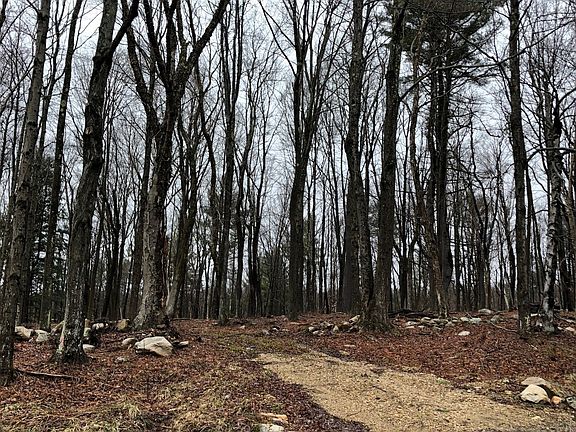 Construction Curb Cut