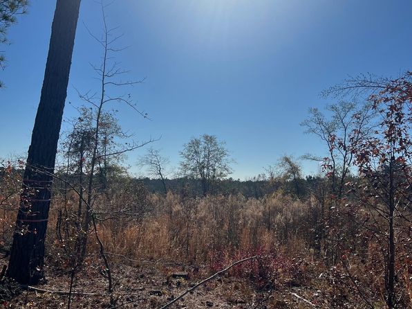 2199 Longtown Rd, Ridgeway, SC 29130