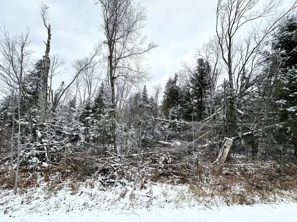 Marshall Ln, White Lake, WI 54491