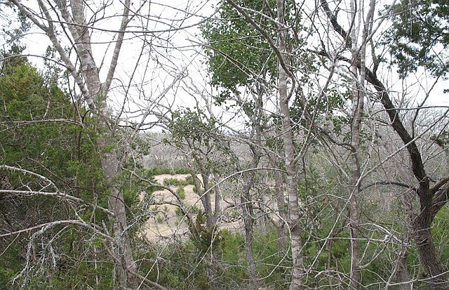 1st image of 108 Los Arboles Ln
