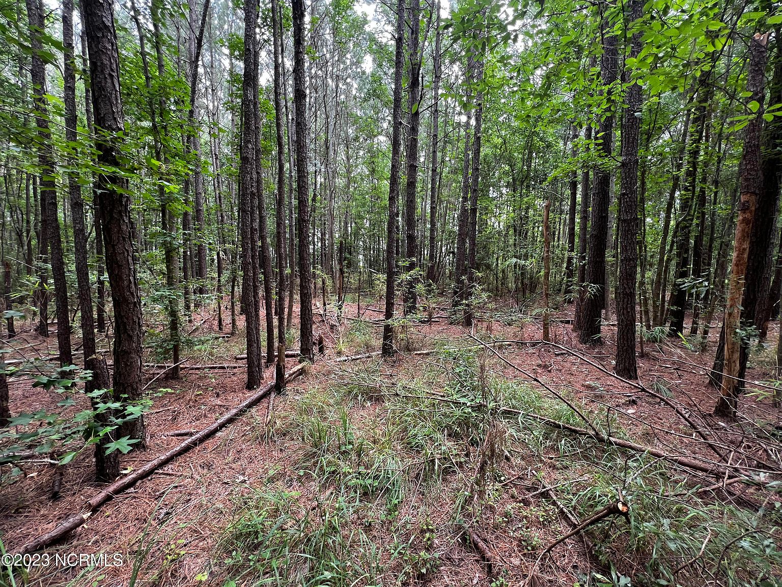 0 Elm Street, Belhaven, NC 27810 Zillow