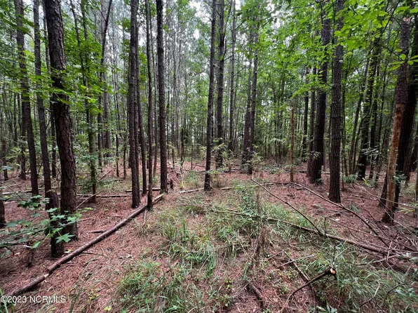 0 Elm Street, Belhaven, NC 27810
