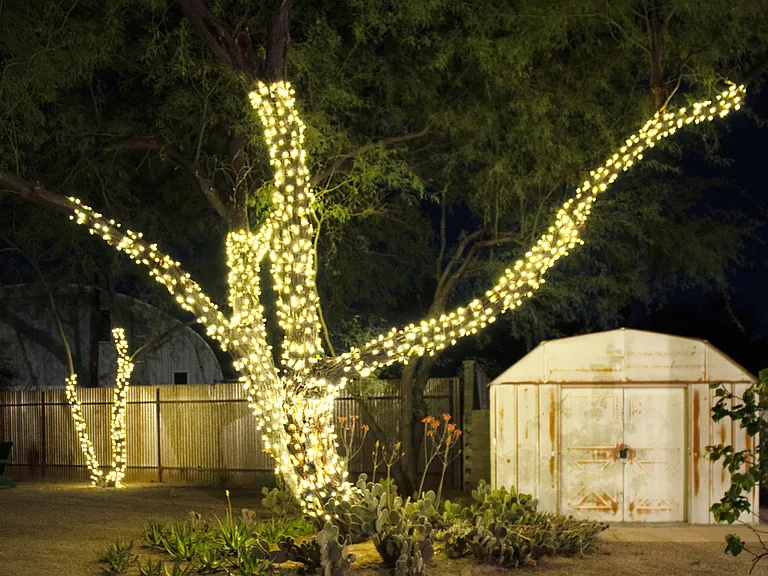 Cozy up under the warm glow of string lights and experience the ultimate desert night vibe.