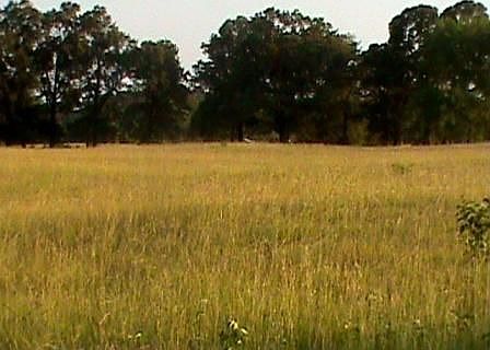 5th image of 14275 Us Highway 82 E