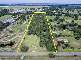 16115 Alderman Turner Rd, Wimauma, FL 33598