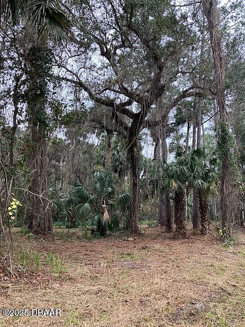 2nd image of 0 Shell Harbor Rd