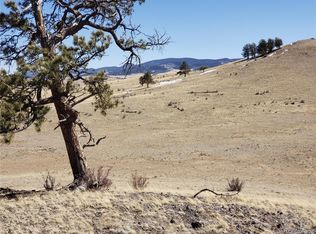 Milner Rd, Hartsel, CO 80449