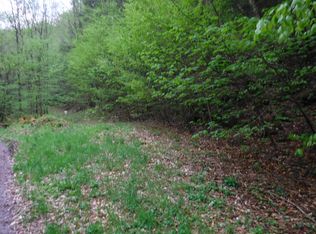 358 Norton Godfrey Rd, Shunk, PA 17768