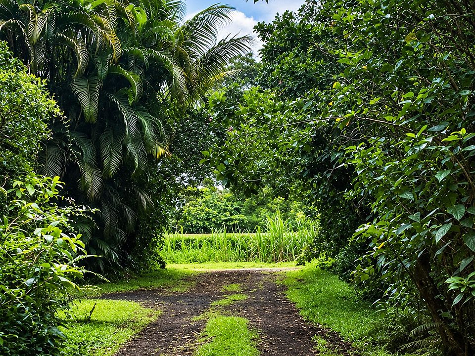 1st image of Hawaii St Lot 118