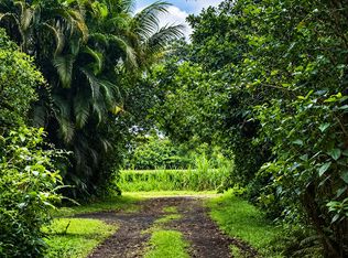 Hawaii St Lot 118, Pahoa, HI 96778