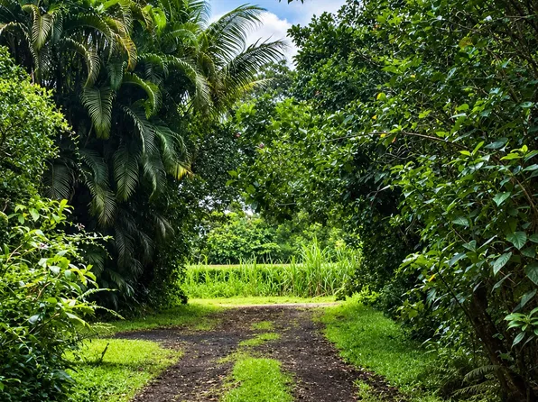 Hawaii St Lot 118, Pahoa, HI 96778