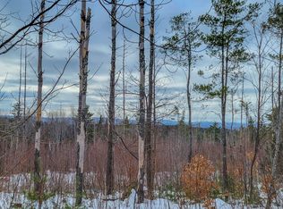 M4-L38 Glass Hill Rd #1, Guilford, ME 04443