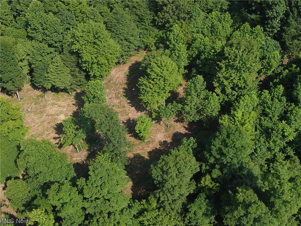 1 Woodland Dr, Ivydale, WV 25113 Zillow