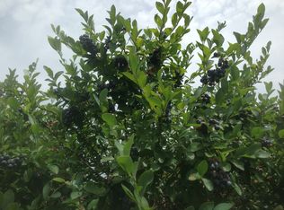 9628 Cr 429, Tyler, TX 75704