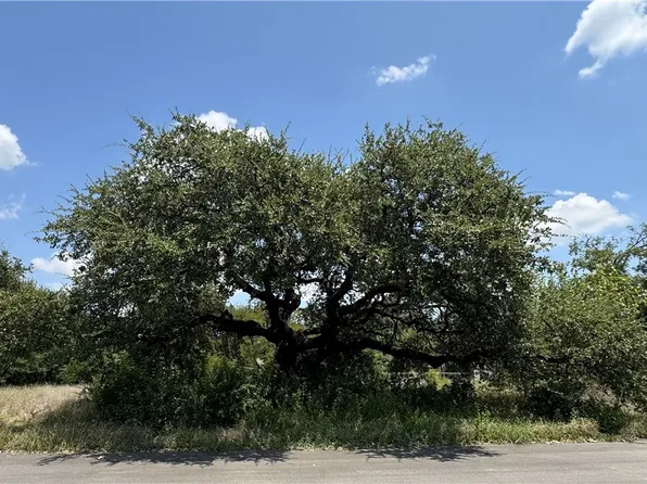 1203 S Beal St, Belton, TX 76513