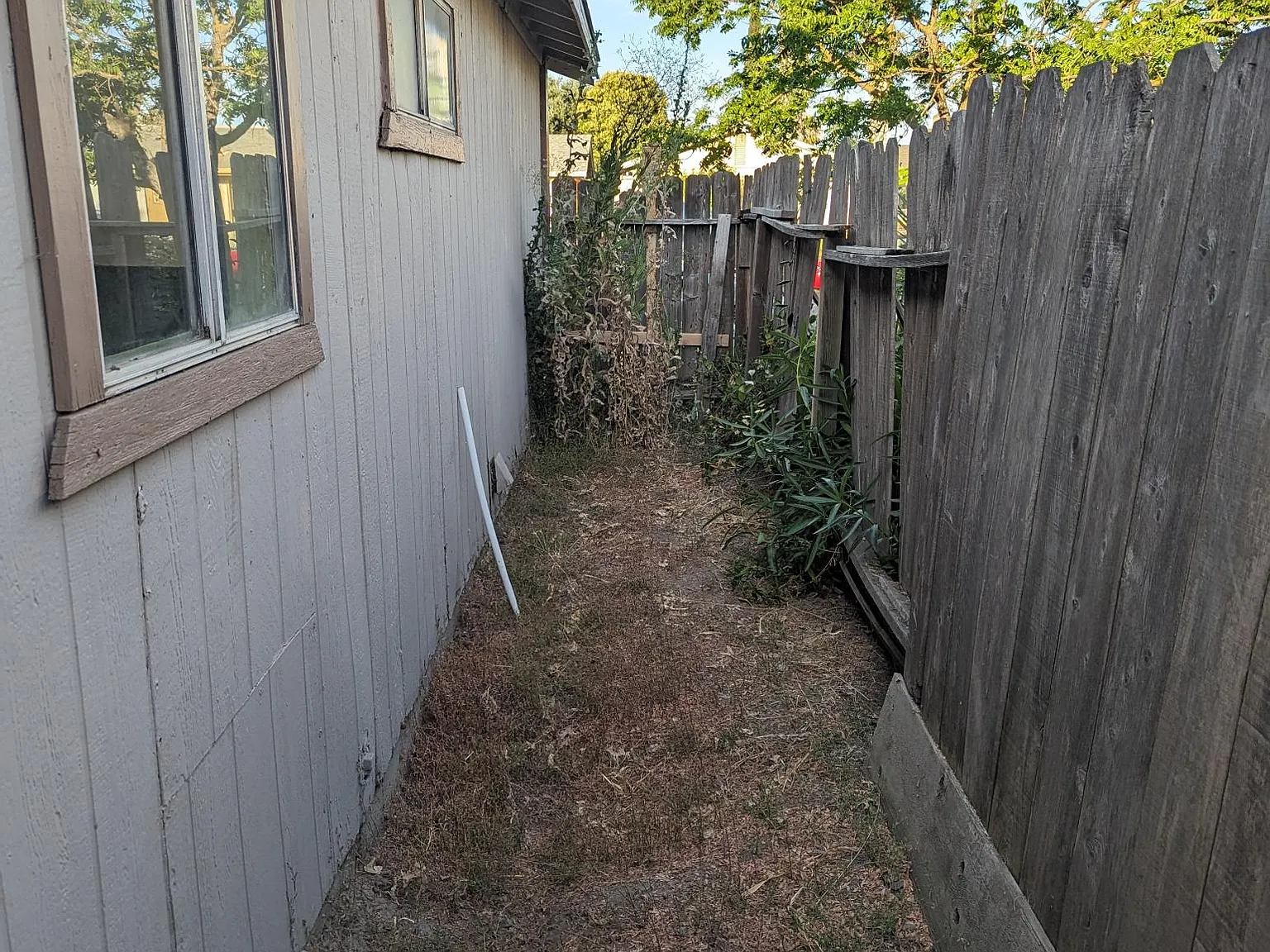 2 bed, 950 sqft, $1,645 — Photo 4
