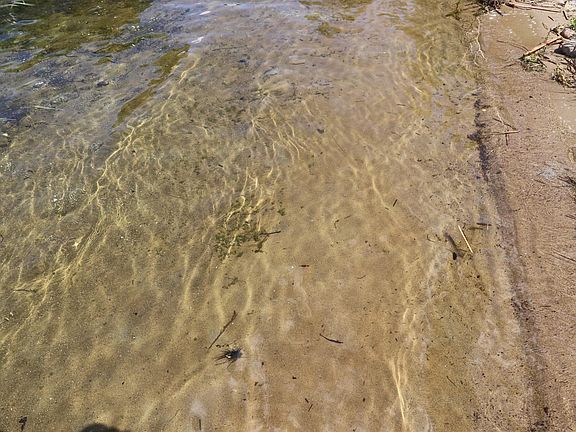 3rd image of 23515 Fish Lake Trl