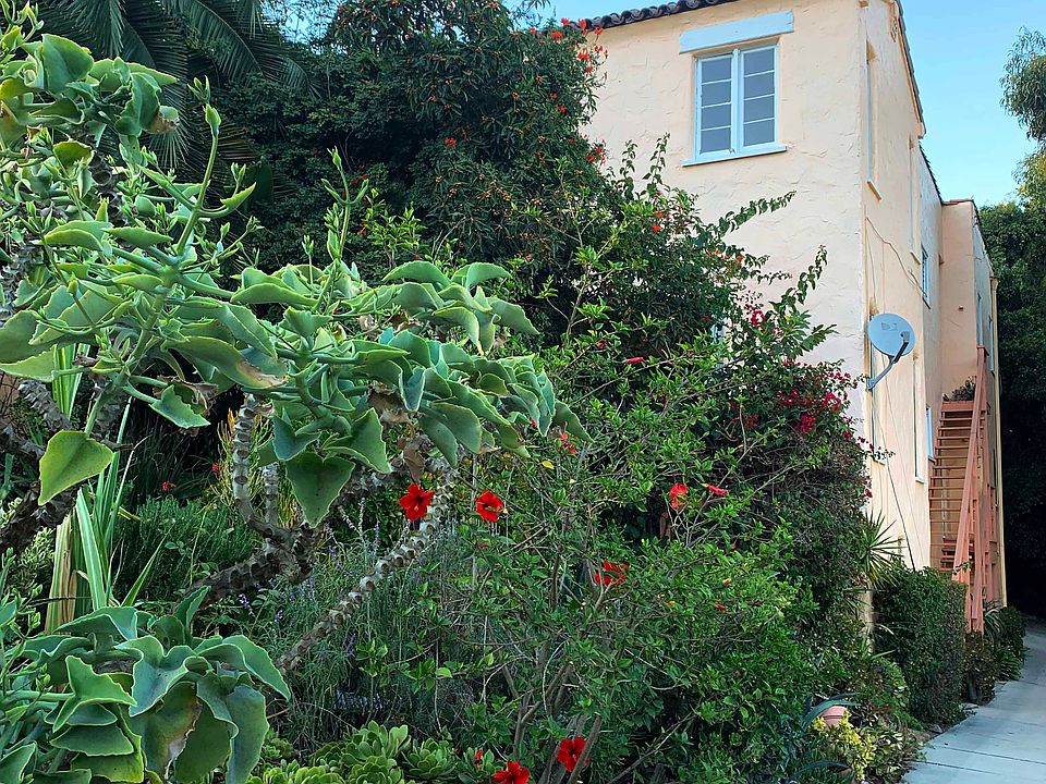 outside view