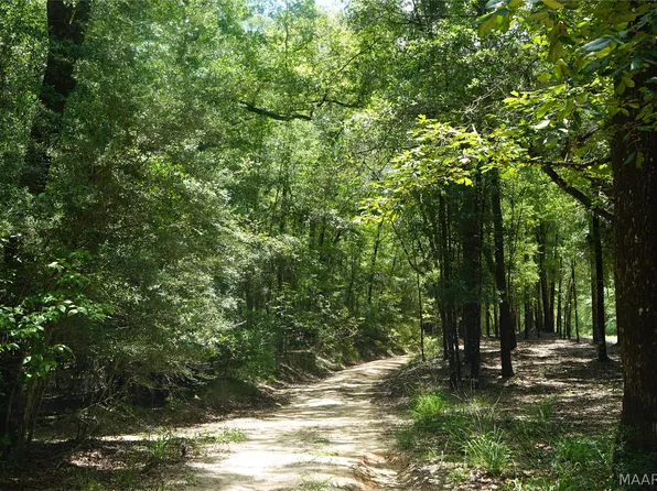 10028 Buster Aplin Rd, Florala, AL 36442
