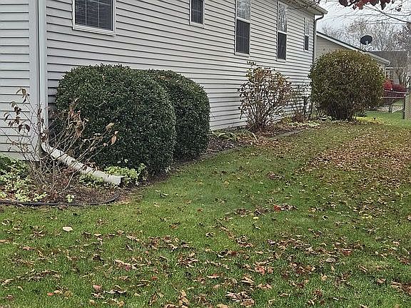Landscaped  side yard