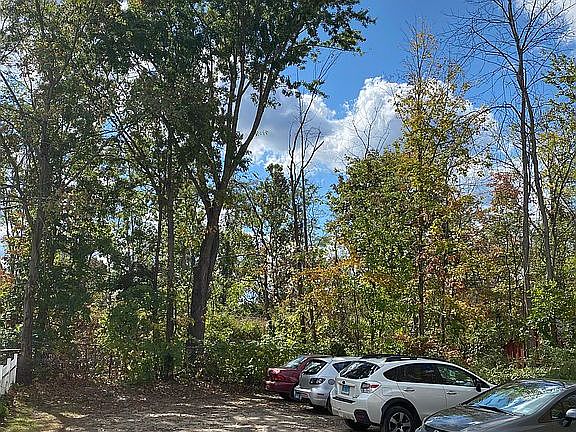 Rear Parking