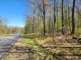 Lot 34 Lenni Lenape Road, Cochecton, NY 12726
