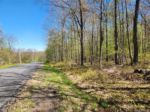 Lot 34 Lenni Lenape Road, Cochecton, NY 12726