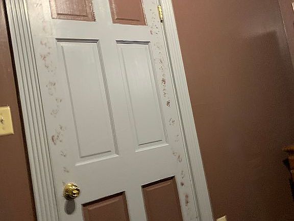5th image of 409 Bristol St