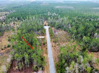 9 Jazzy Ln, Wewahitchka, FL 32465