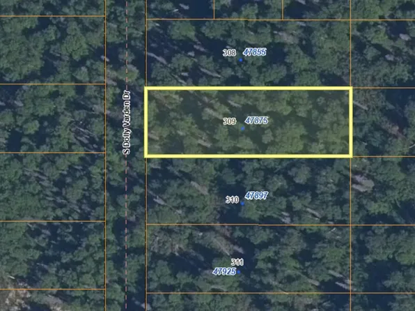 47875 S Dolly Varden Dr, Talkeetna, AK 99676