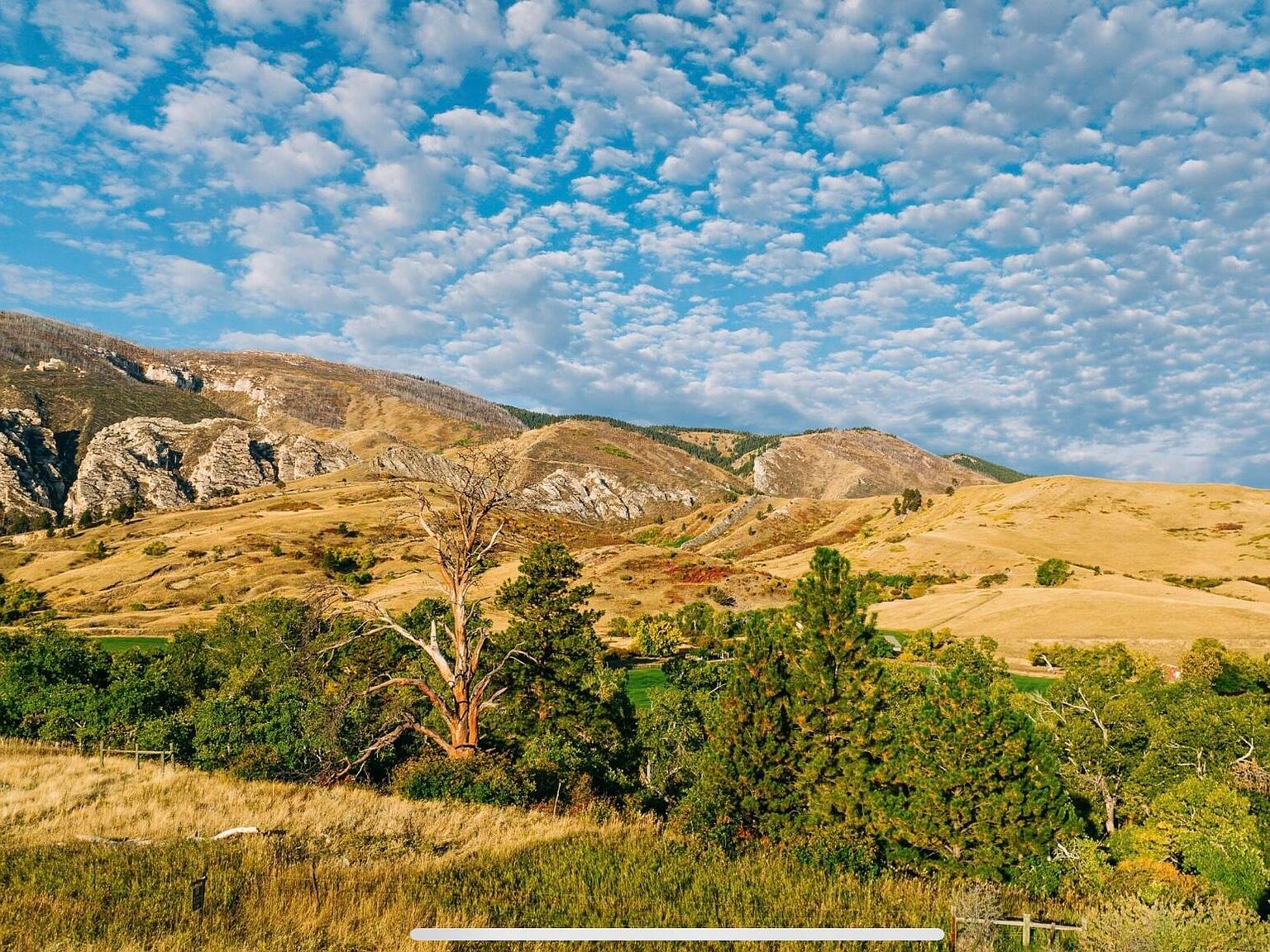 Little Goose Canyon Rd, Big Horn, WY 82833 MLS 221006 Zillow