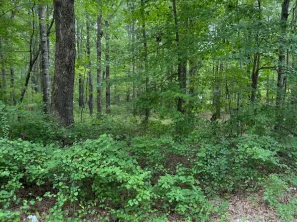 (undisclosed Address), Wrightsville, AR 72183