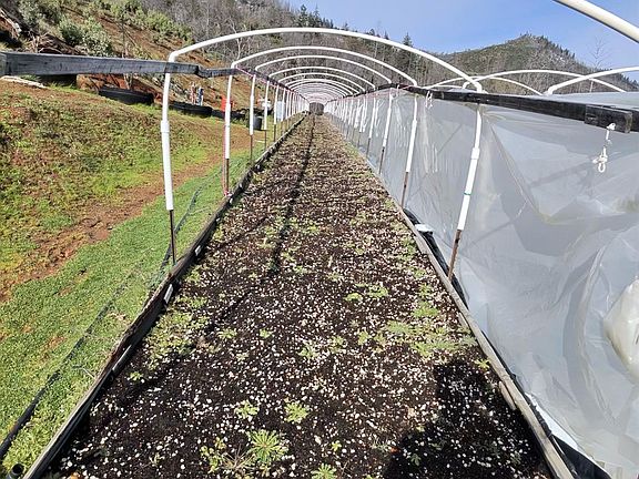 3rd image of (Undisclosed Address)